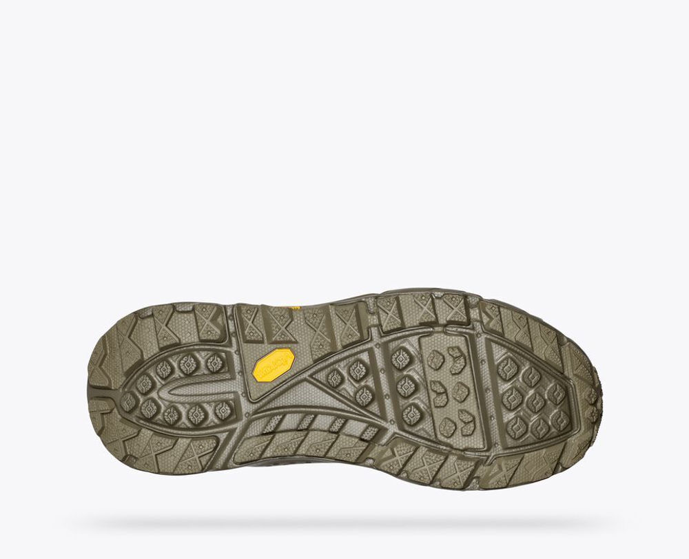 Ботинки unisex Hoka Tor ultra Hi