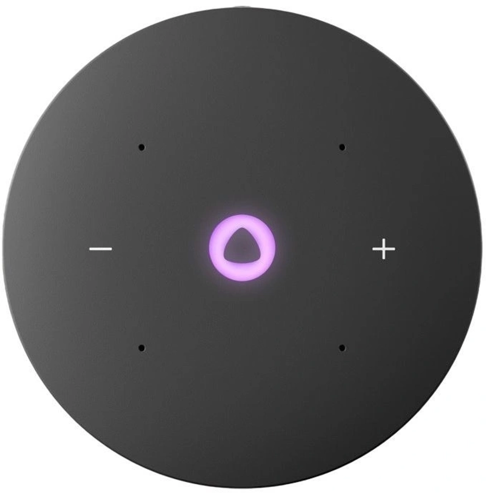 Умная колонка Yandex Станция Мини 3 Алиса серый 12W 1.0 BT/Wi-Fi (YNDX-00027GRY)