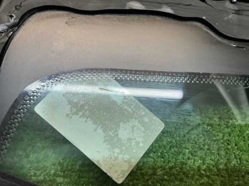 Форточка двери задняя правая BMW X3 F25 (10-17)