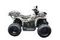 Квадроцикл MOTAX ATV Grizlik T200 Lux