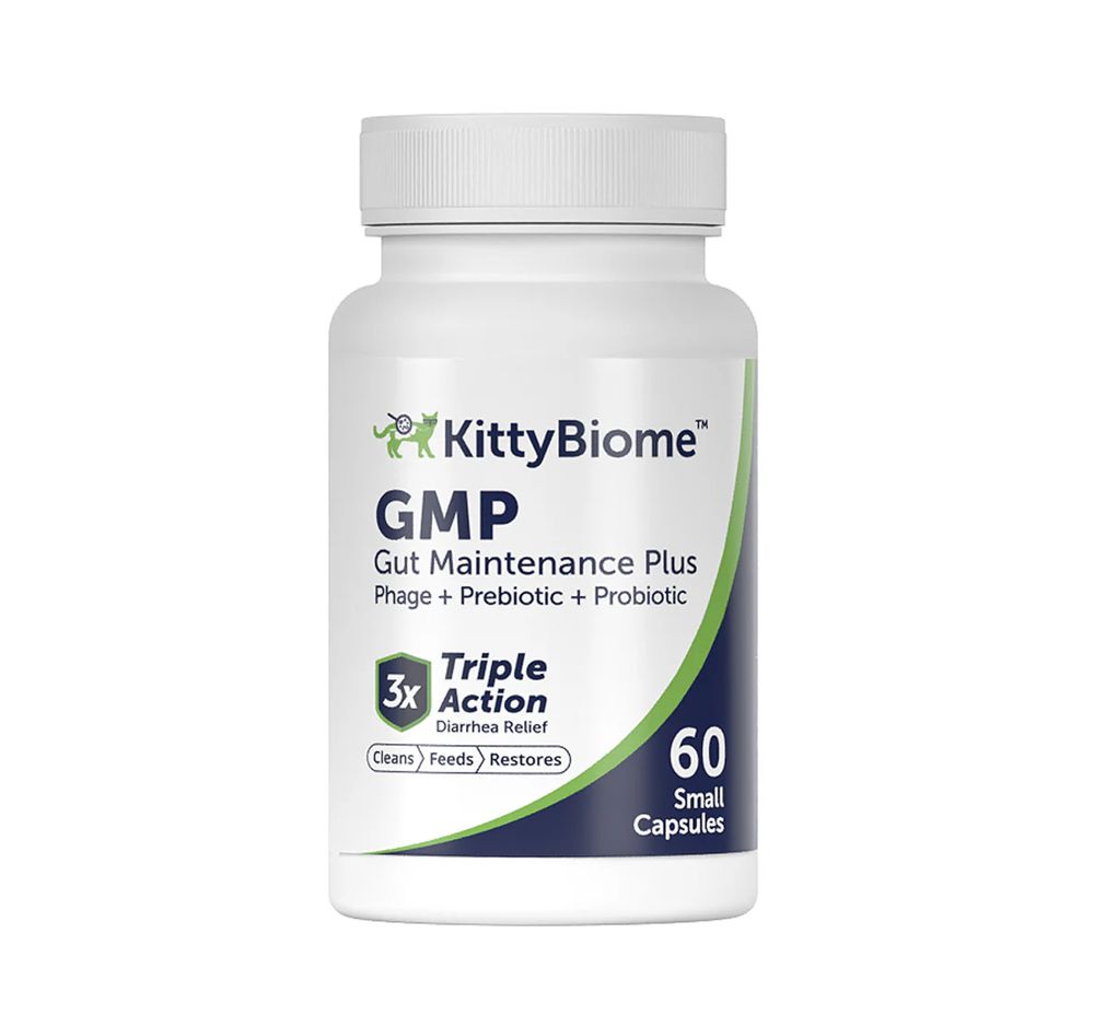 Синбиотик KittyBiome GMP