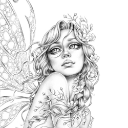 Wildflower Folk Coloring Book Christine Karron