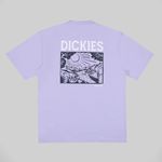  Футболка мужская Dickies Patrick Springs Tee артикул:DK0A4YR7H181 - купить в магазине Дайс
