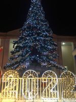 Светодинамическая елка ствольная - встроенная гирлянда: Теплый свет - "Таежная" от 11 до 21 м