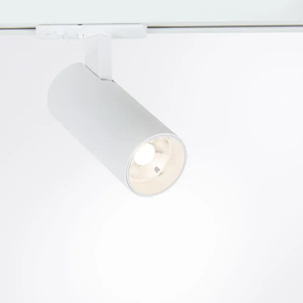 Трековый светильник Arte Lamp