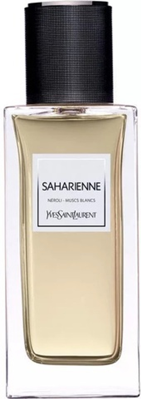 YSL Saharienne