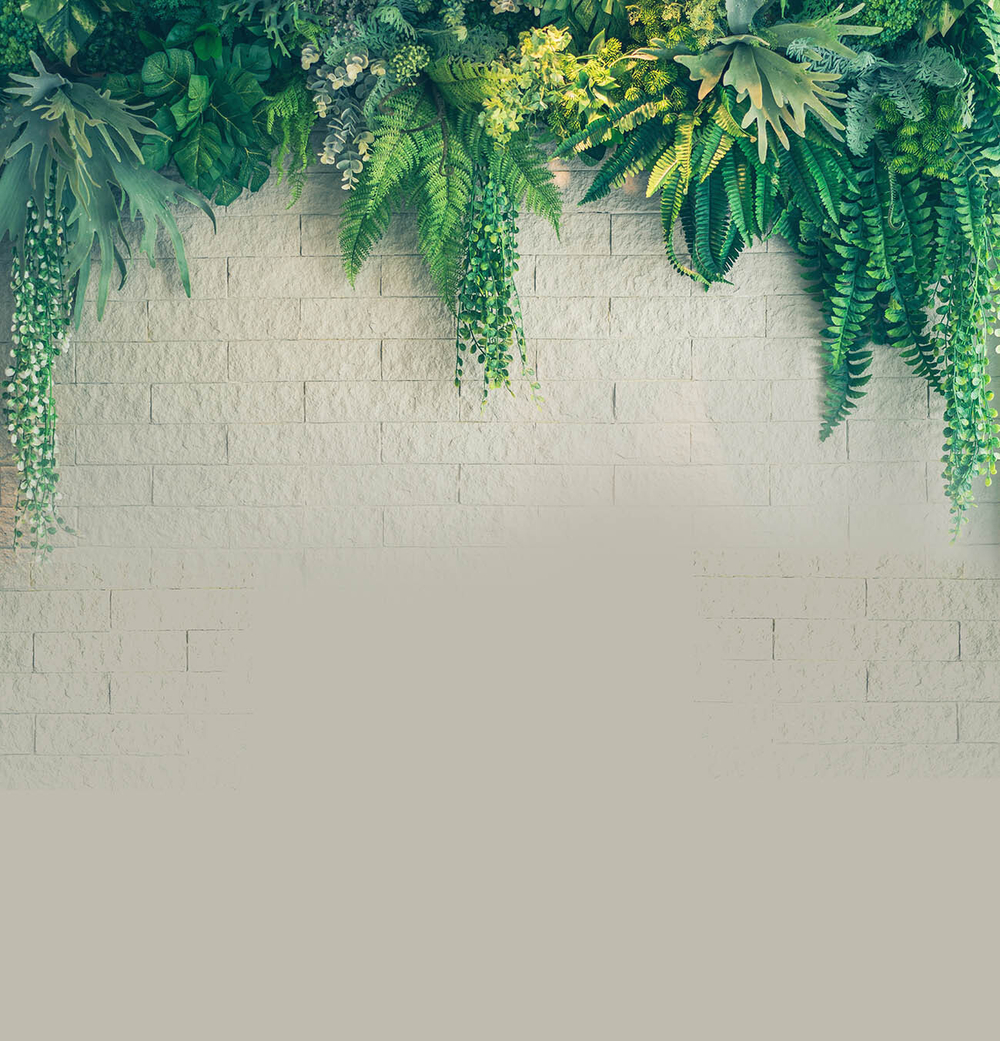 Дизайнерские обои Wall Street GreenDay