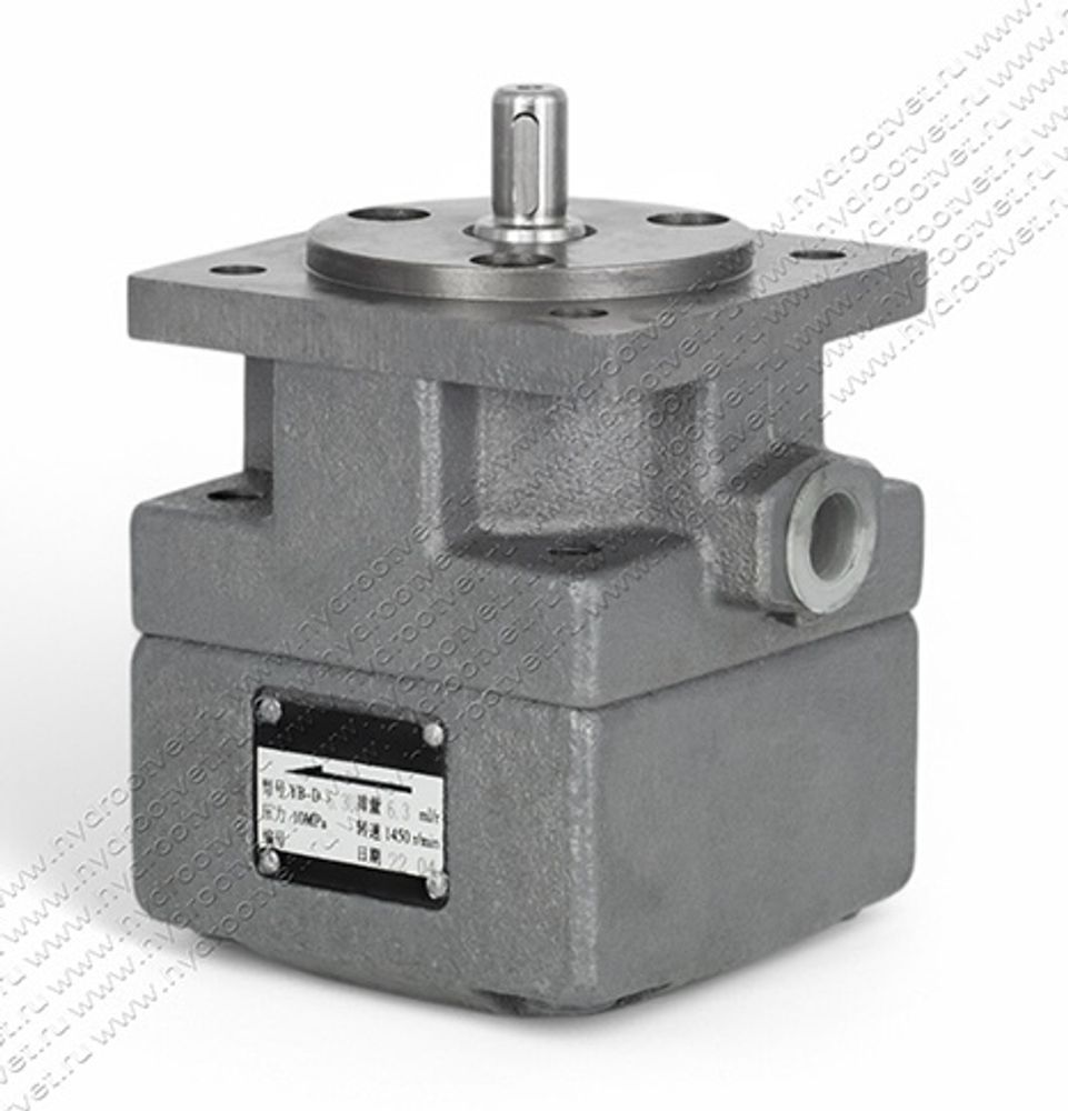 БГ12-41А - Пластинчатый нерегулируемый насос с рабочим объемом 6,3 см3, 100 бар (YB-D6.3U) БГ12-41А - Пластинчатый нерегулируемый насос с рабочим объемом 6,3 см3, 100 бар (YB-D6.3U)