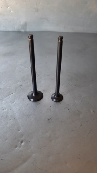 клапана пара Хонда тудэй 61/62 дио 67/68