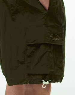 Шорты Anteater BoxyCargoShorts-Green