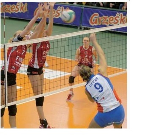 Сетка для волейбола 1,00х9,50 м , толщина нити: 4,0 мм