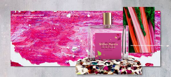 Miller Harris Lost In The City