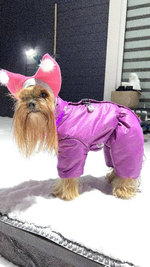 Зимний комбинезон для собак на меховой подкладке (девочка)