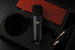 Warm Audio  WA-87 R2 Black