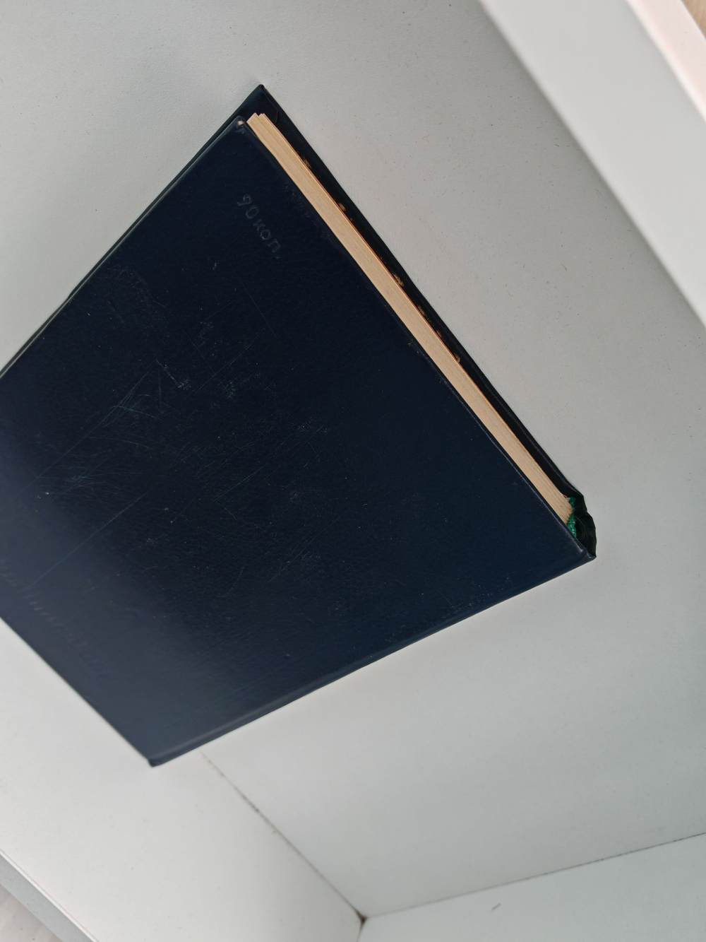 Литература, политика, жизнь