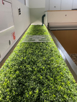 Вертикальное озеленение панелями из искусственной зелени  входной группы в супермаркете "Табрис" г.Сочи