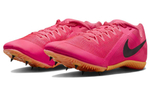 Кроссовки Nike Zoom Rival Multi