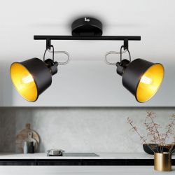 Светильник настенно-потолочный спот Rivoli Evelyn 7064-702 2 х Е14 40 Вт поворотный | Rivoli