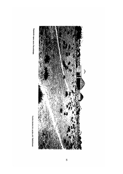Старинные ковры Средней Азии | А. Фелькерзам