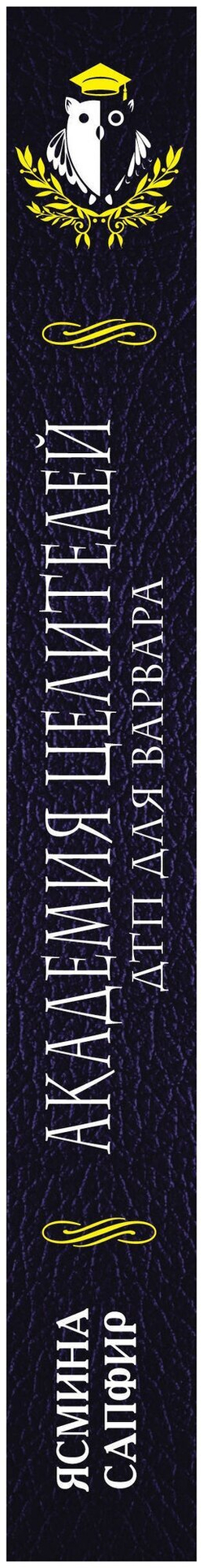 Академия целителей. ДТП для варвара