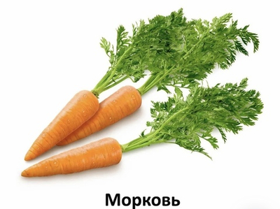 Alleva Care Cat Adult Urinary 360 Alleva Care Urinary 360 10кг полнорационный сухой диетический корм для взрослых кошек, предназначенный для растворения струвитных камней и предотвращения их рецидивов.