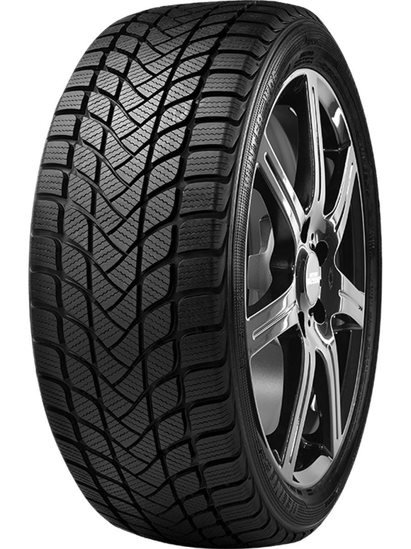 Зимняя шина Delinte Winter WD6 (205/55 R17 95H)