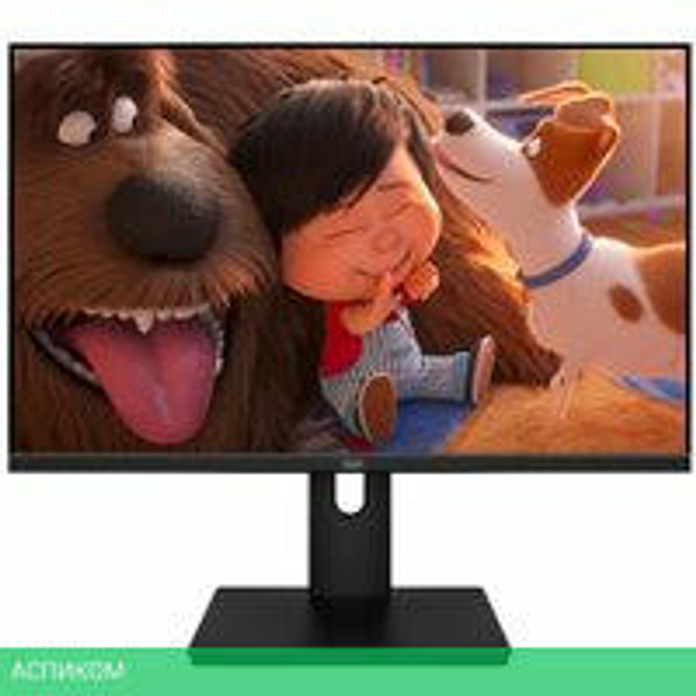 Монитор Aiwa MF2203