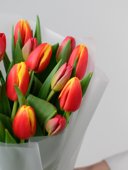 Тюльпаны микс