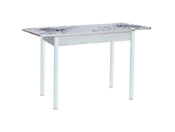 Нью йорк фотопечать стол обеденный раздвижной со стеклянной поверхностью / цветы на сером/бетон белый/белый 900*600 (1200)