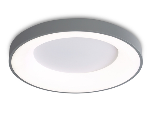 FZ1402 GR серый IP20 48W 3000K-6500K D500*50 (ПДУ ИК)