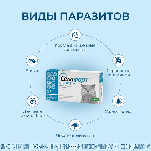 Селафорт капли для кошек для наружнего применения противопаразитпрный