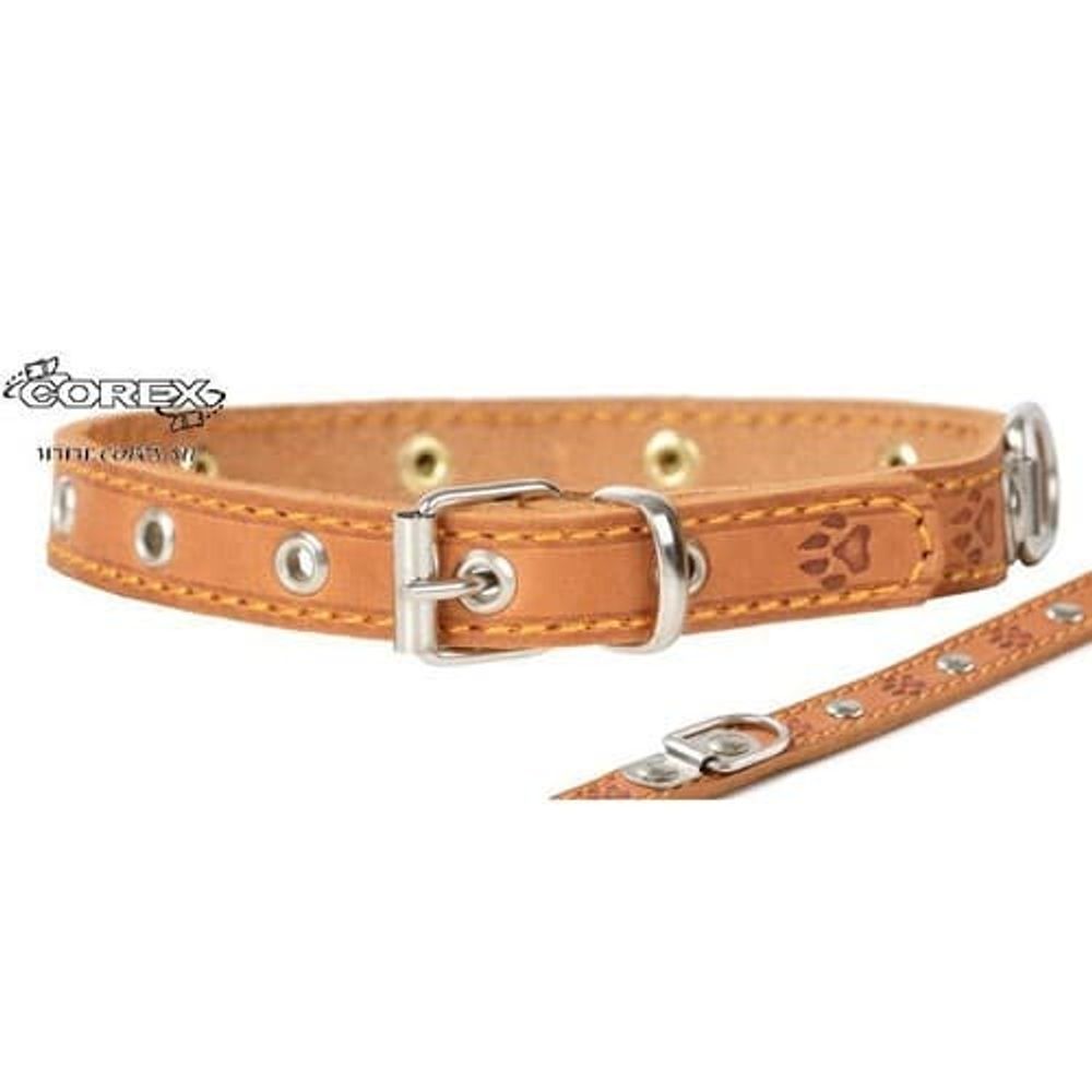 ОШЕЙНИК &quot;BUDDY&quot;  16мм КОЖА УКР 26-36см 20024