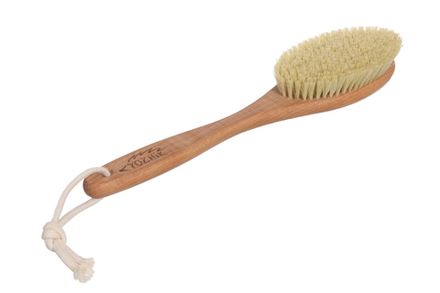 Tampico fiber body brushes