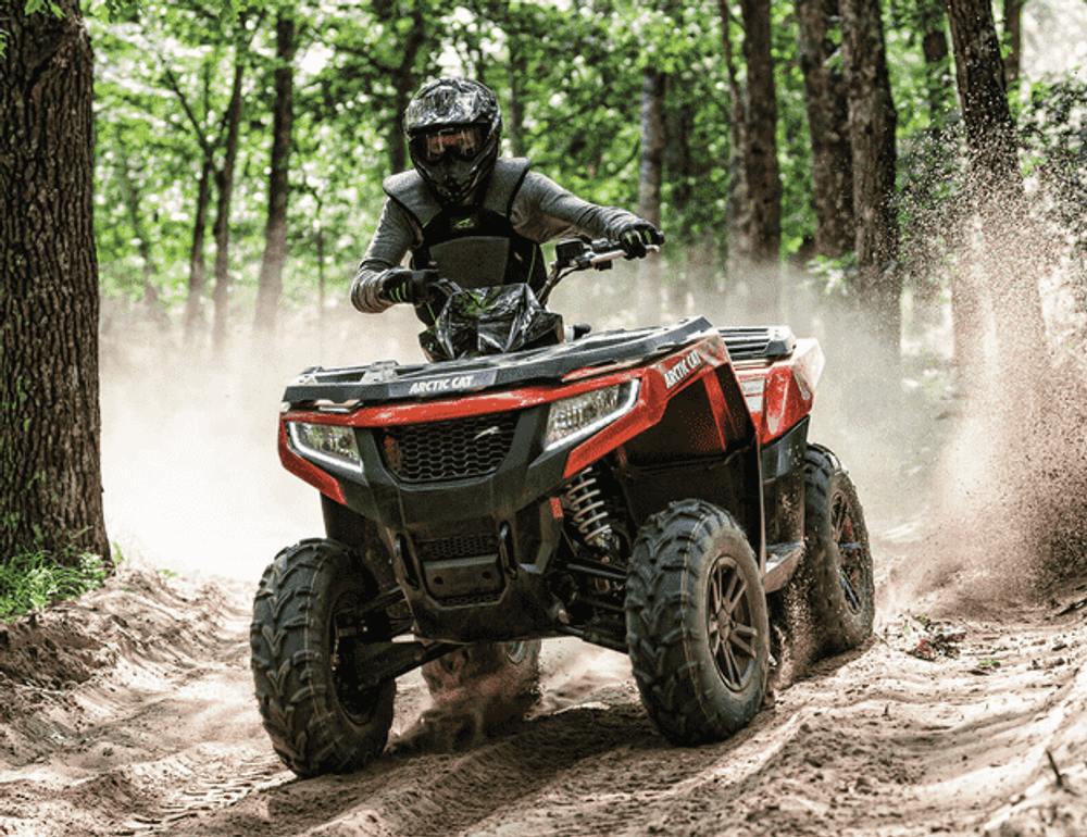 Квадроцикл ARCTIC CAT Alterra TRV 700 XT (2017)