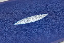 Кожа ската 230х120мм (синяя)
