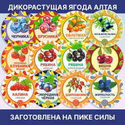 Можжевельник Зимний крупный сушеный.
