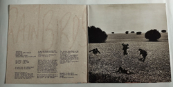 Винтажная виниловая пластинка LP Rainbirds Call Me Easy Say I am Strong Love Me My Way It Aint Wrong (Germany 1989)
