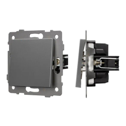 Механизм выключателя одноклавишный непроходной SWT-MK01-PL-GR-V (250V, 10A) (Arlight, -) 049869