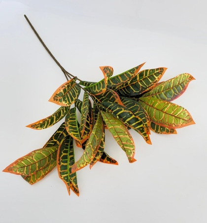 Кротон / Арт 6173