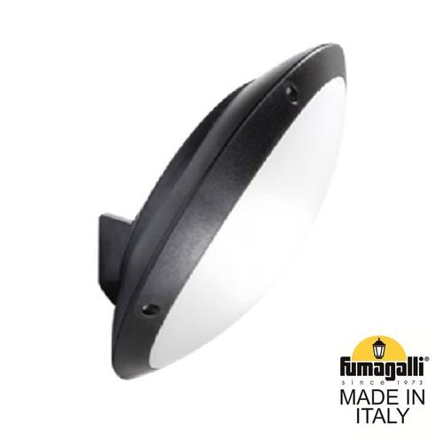 Уличный настенный светильник Fumagalli LUCIA 1R3.602.000.AYE27