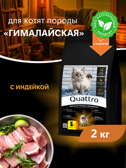 Корм сухой для котят породы Гималайская, с индейкой, 2кг, QUATTRO