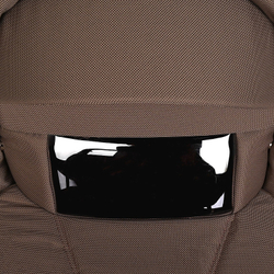 Детская коляска Roan Bass Next Classic d12 2 в 1 RCL265/1 Raisin Mood