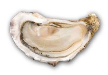 Приморские устрицы, шт Приморские устрицы, шт