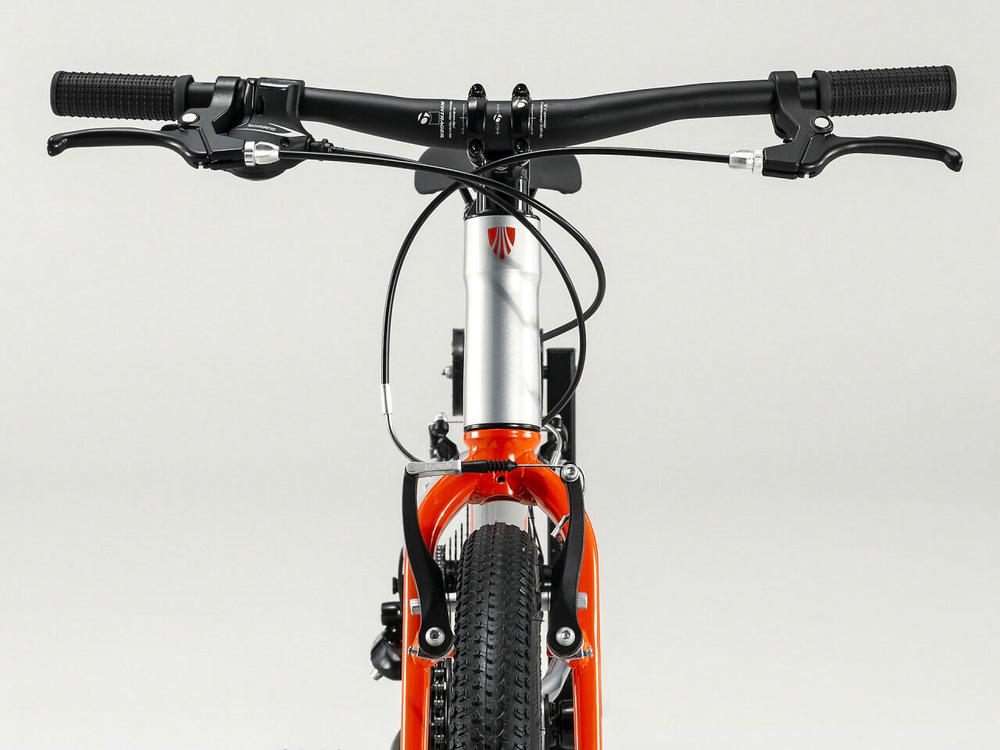 Детский велосипед Trek Wahoo 20 (2020)