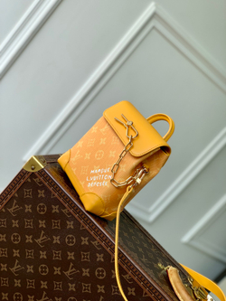 Louis Vuitton Nano Steamer