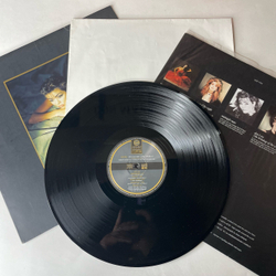 Винтажная виниловая пластинка LP Sandra Ten On One (The Singles) (Германия 1987) (С Постером)