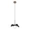 Подвесной светильник Loft IT Monro 10213/A Black