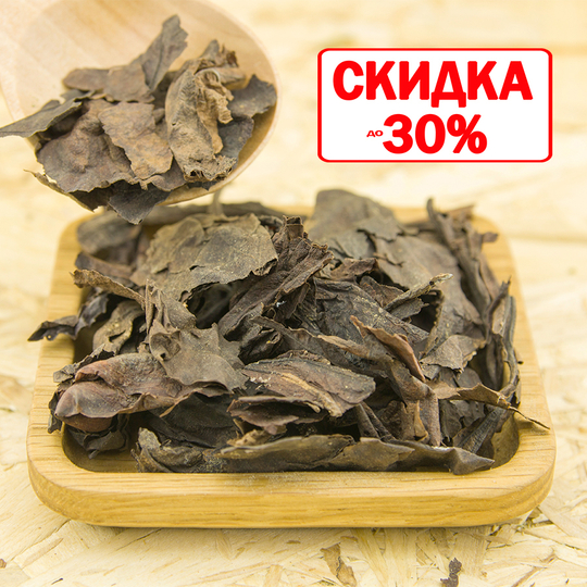 Бадан (лист)