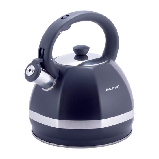 Чайник 3 л. из нержавеющей стали со свистком Kamille KM-1078