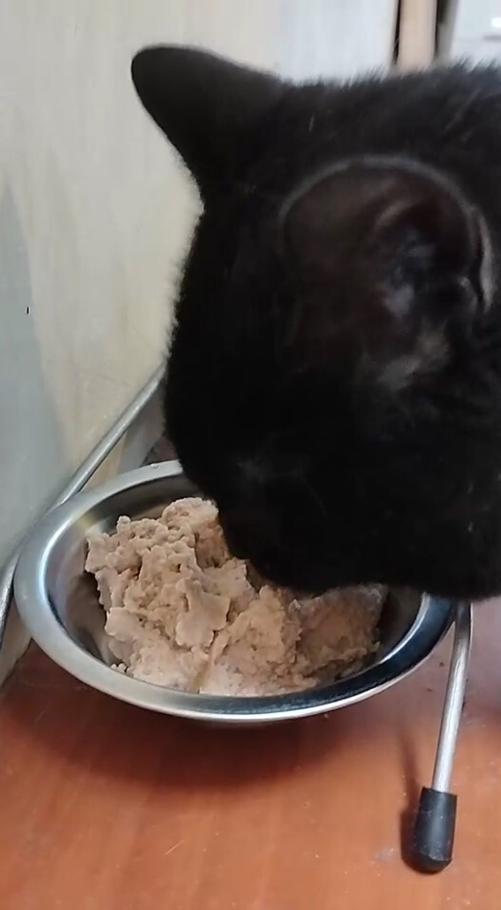 Pettric Healthy Living влажный беззерновой корм "Мусс из тунца" для кошек